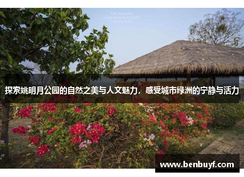 探索姚明月公园的自然之美与人文魅力，感受城市绿洲的宁静与活力